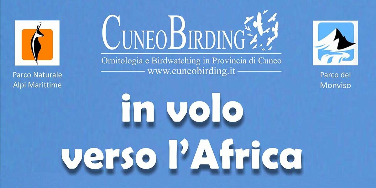 Birdwatching. Monitoraggio degli uccelli migratori